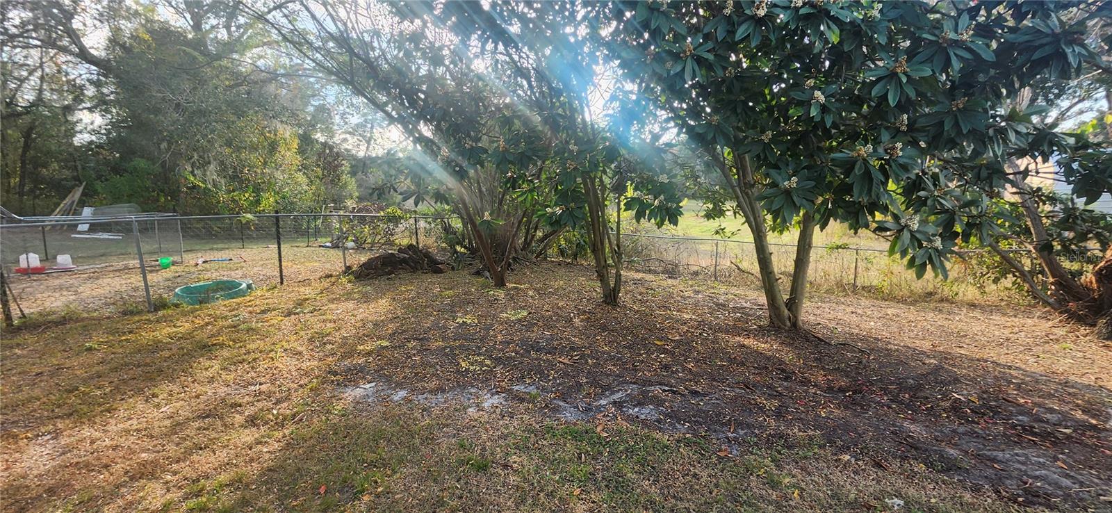 Listing photo id 50 for 3047 Fisher Avenue