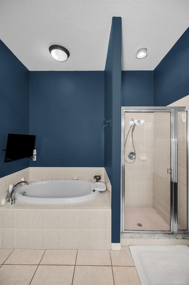 Image 16 of 66 For 10101 Mizner Street