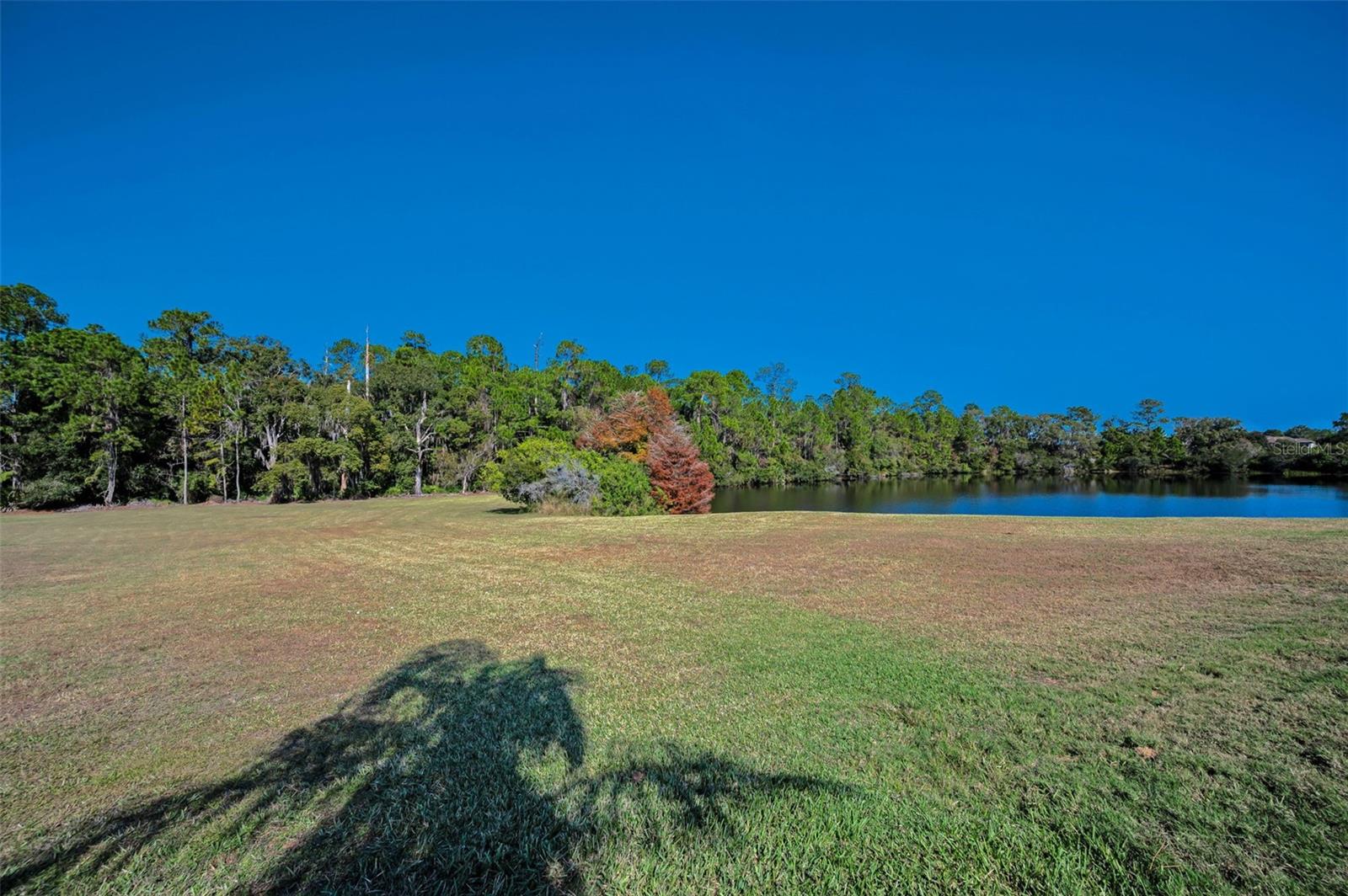 Image 61 of 66 For 10101 Mizner Street