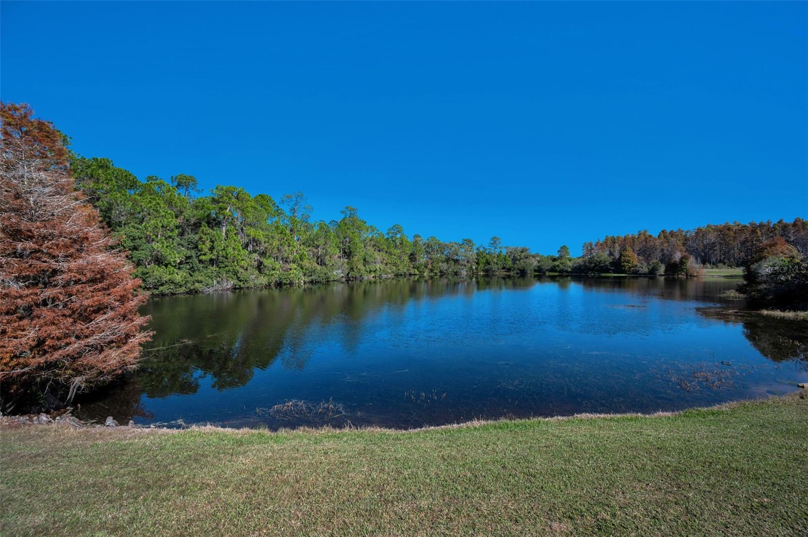 Image 62 of 66 For 10101 Mizner Street