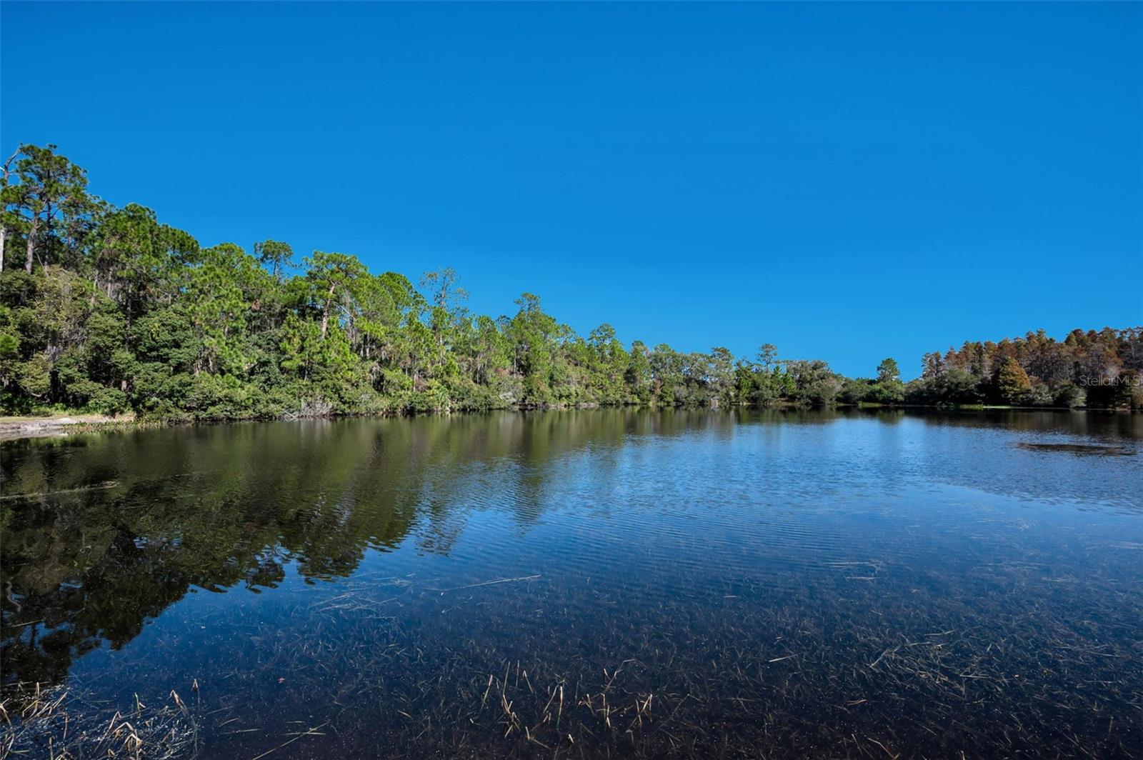 Image 63 of 66 For 10101 Mizner Street