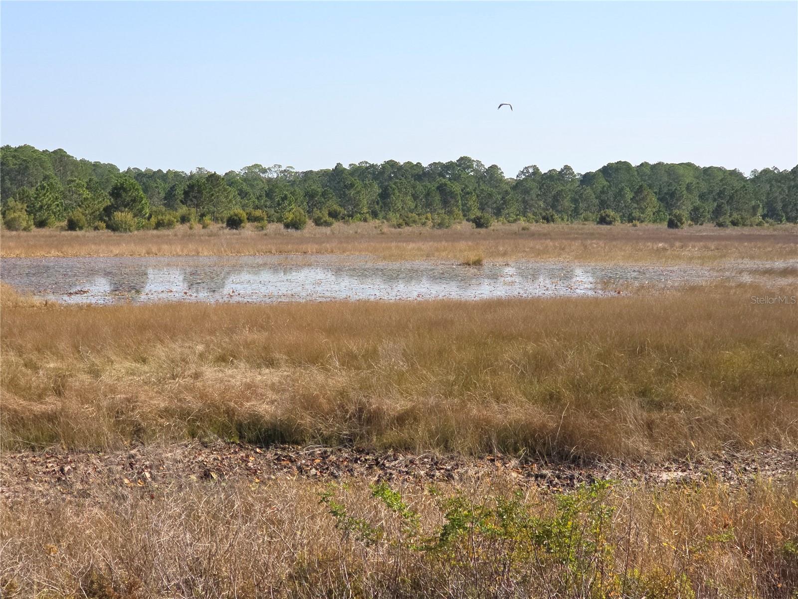 Image 37 of 42 For 6345 Piedmont Drive