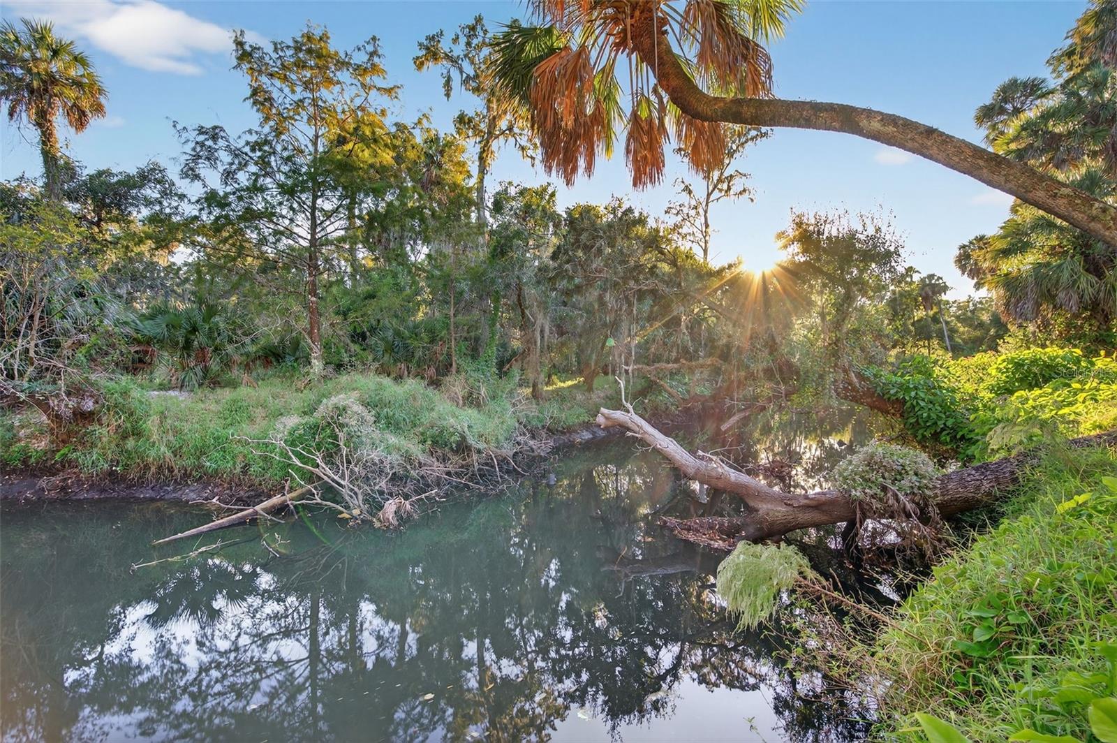 Image 2 of 83 For 6345 Lost Trail