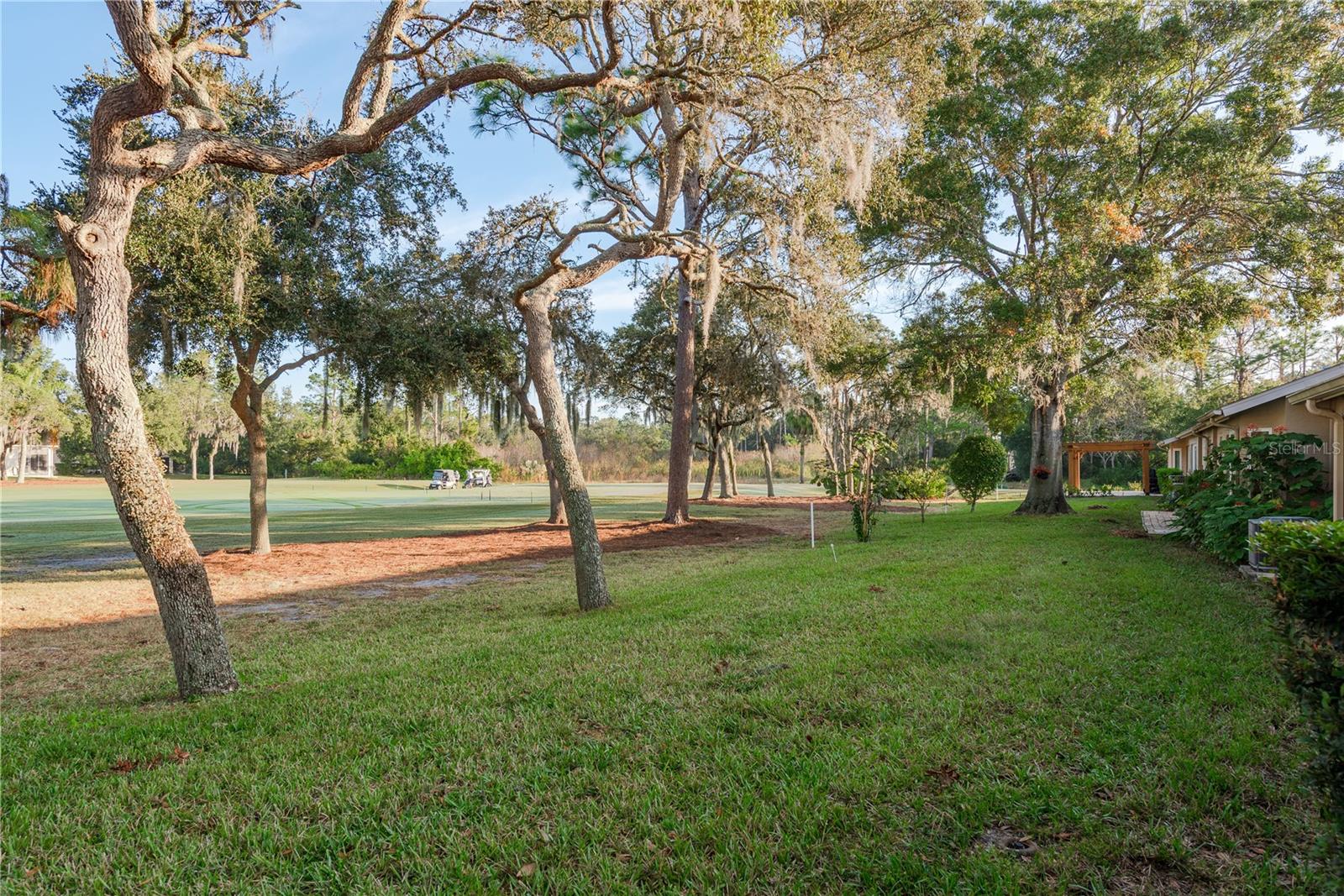 Image 31 of 36 For 9347 Clearmeadow Lane