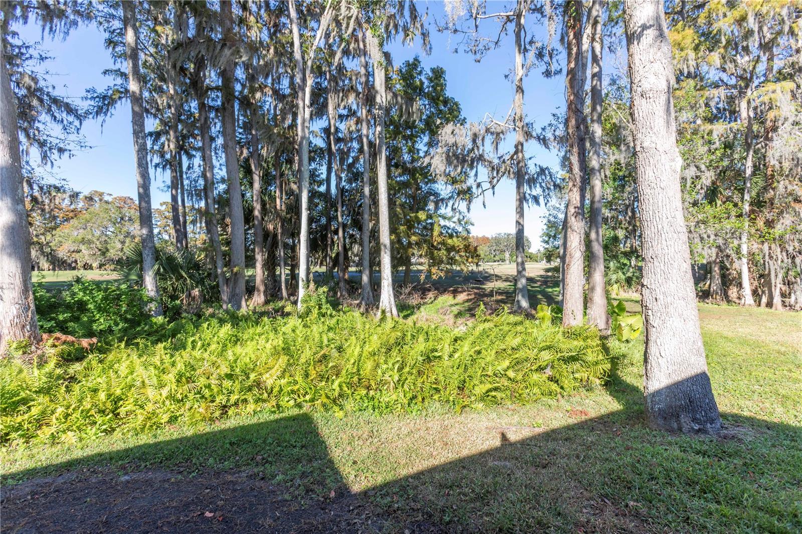 Image 31 of 59 For 3275 Lori Lane