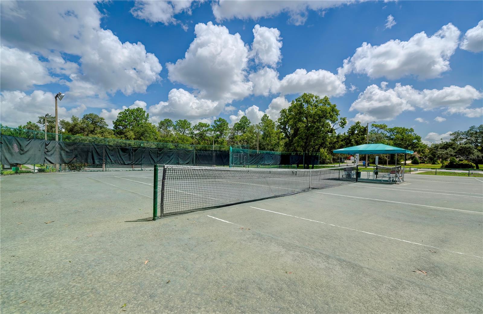 Image 10 of 15 For 157 Daisy Street