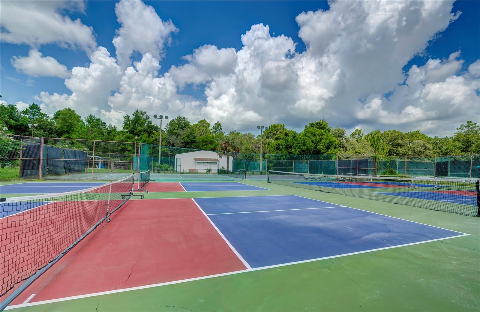 Image 11 of 15 For 157 Daisy Street