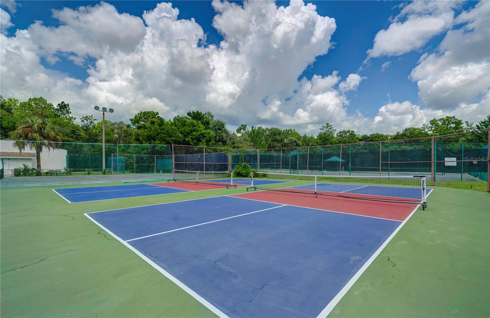 Image 12 of 15 For 157 Daisy Street