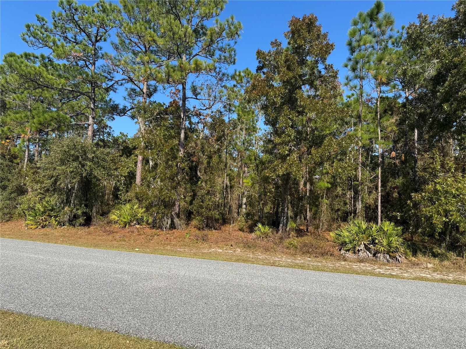 Image 3 of 15 For 157 Daisy Street