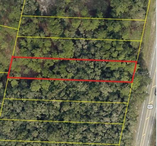 Details for 0 Treiman Boulevard, WEBSTER, FL 33597