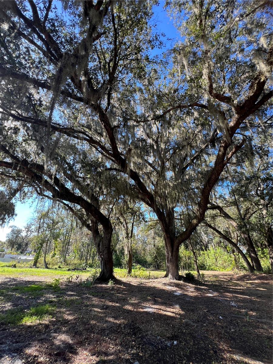 Image 44 of 49 For 4912 Miley Road