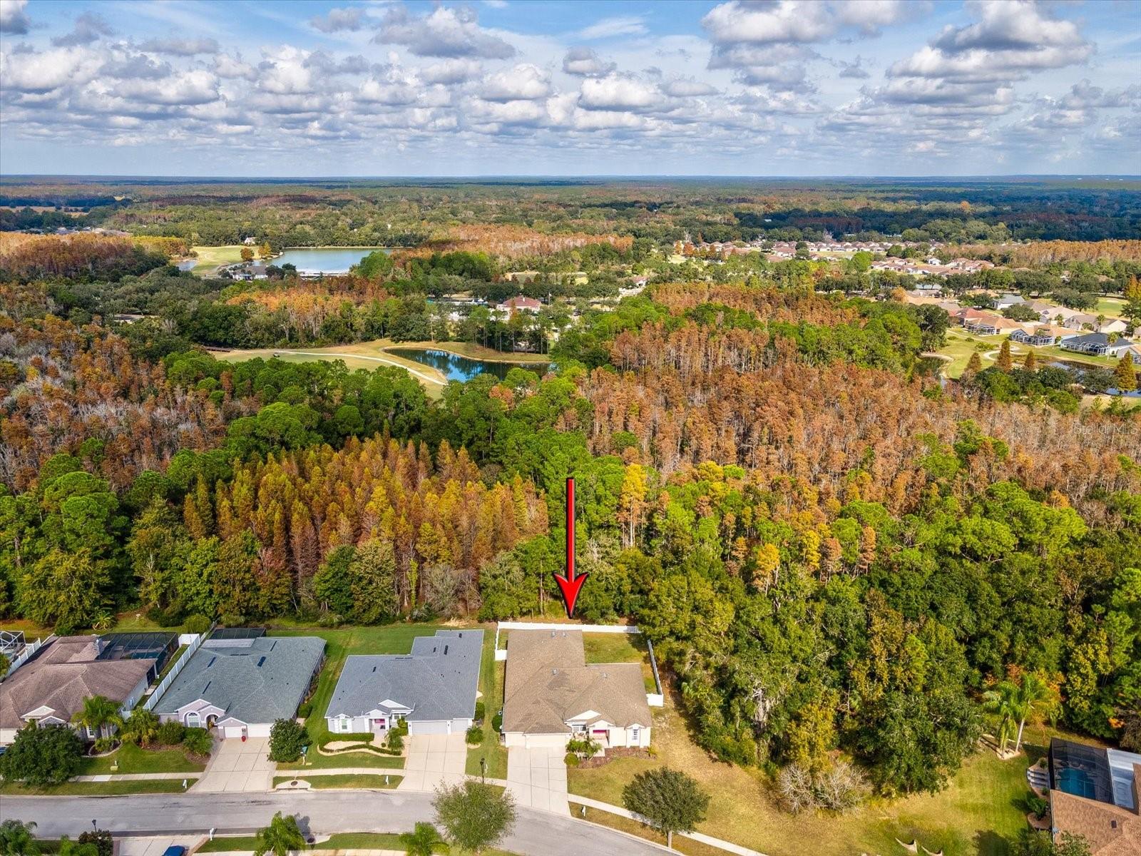 Image 61 of 100 For 26249 Sword Dancer Drive