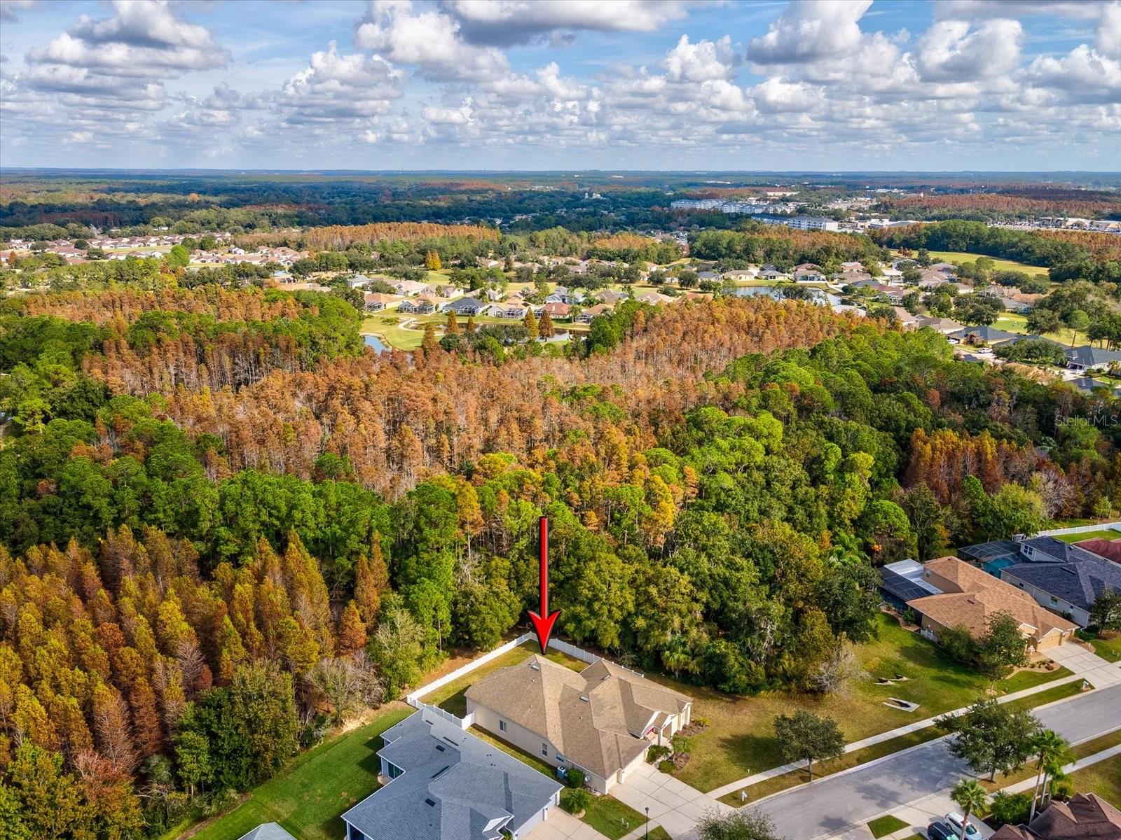 Image 62 of 100 For 26249 Sword Dancer Drive