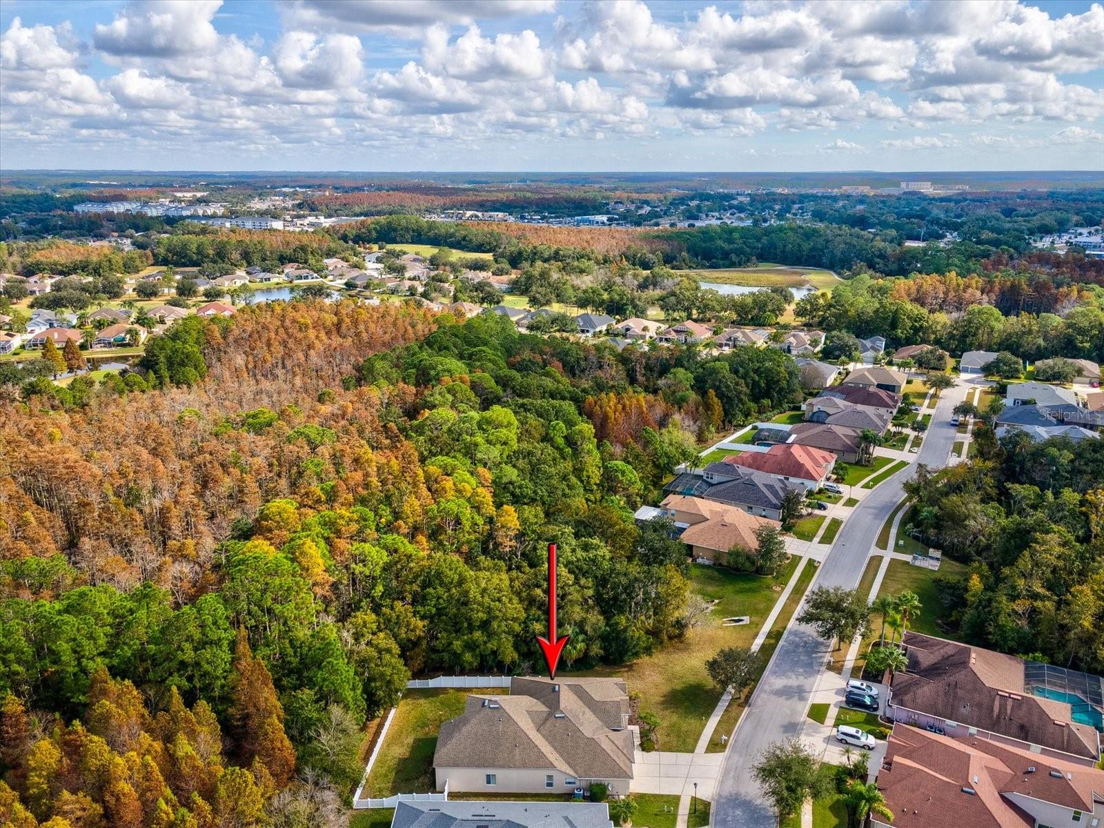 Image 63 of 100 For 26249 Sword Dancer Drive