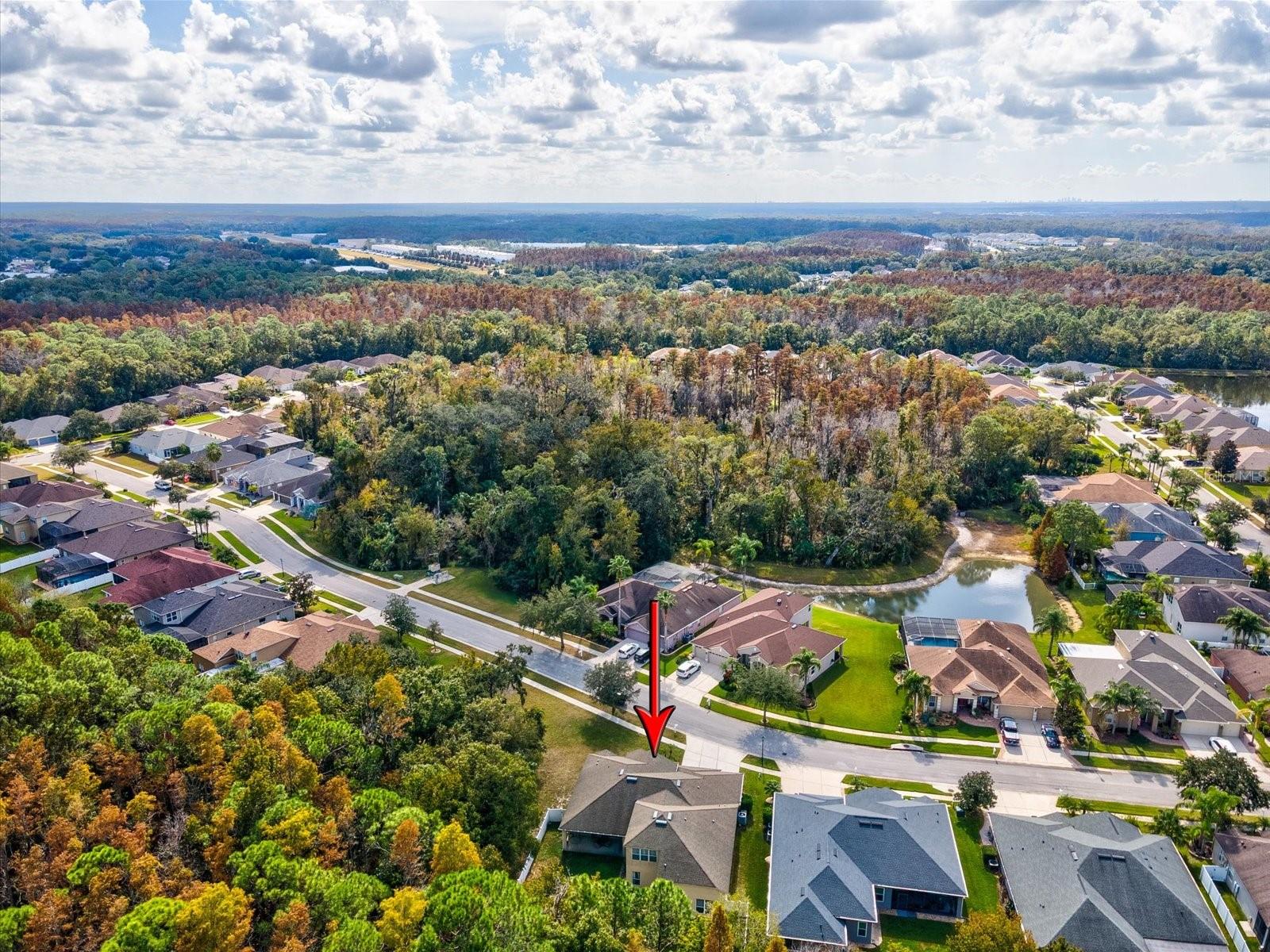 Image 65 of 100 For 26249 Sword Dancer Drive