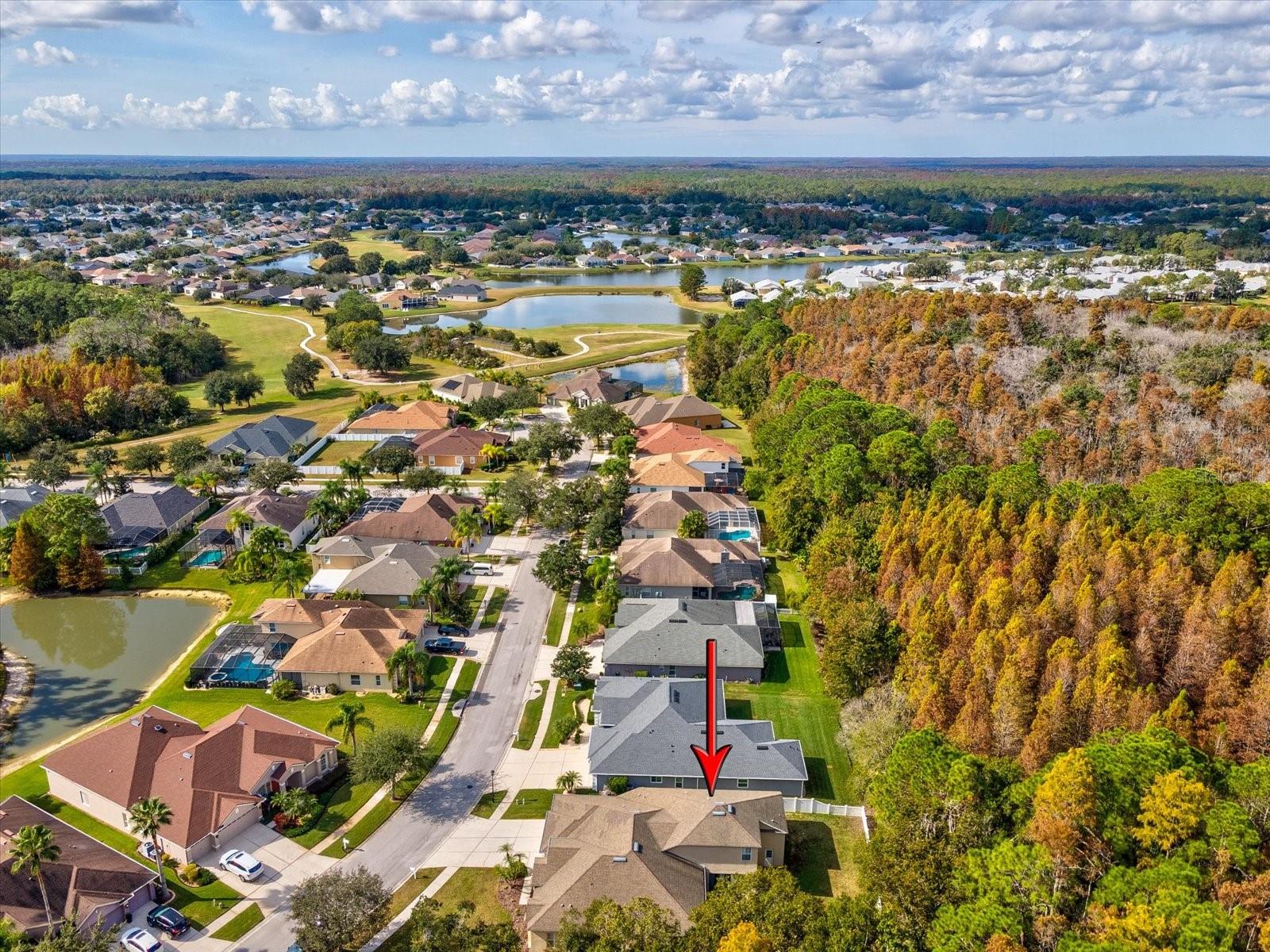 Image 67 of 100 For 26249 Sword Dancer Drive