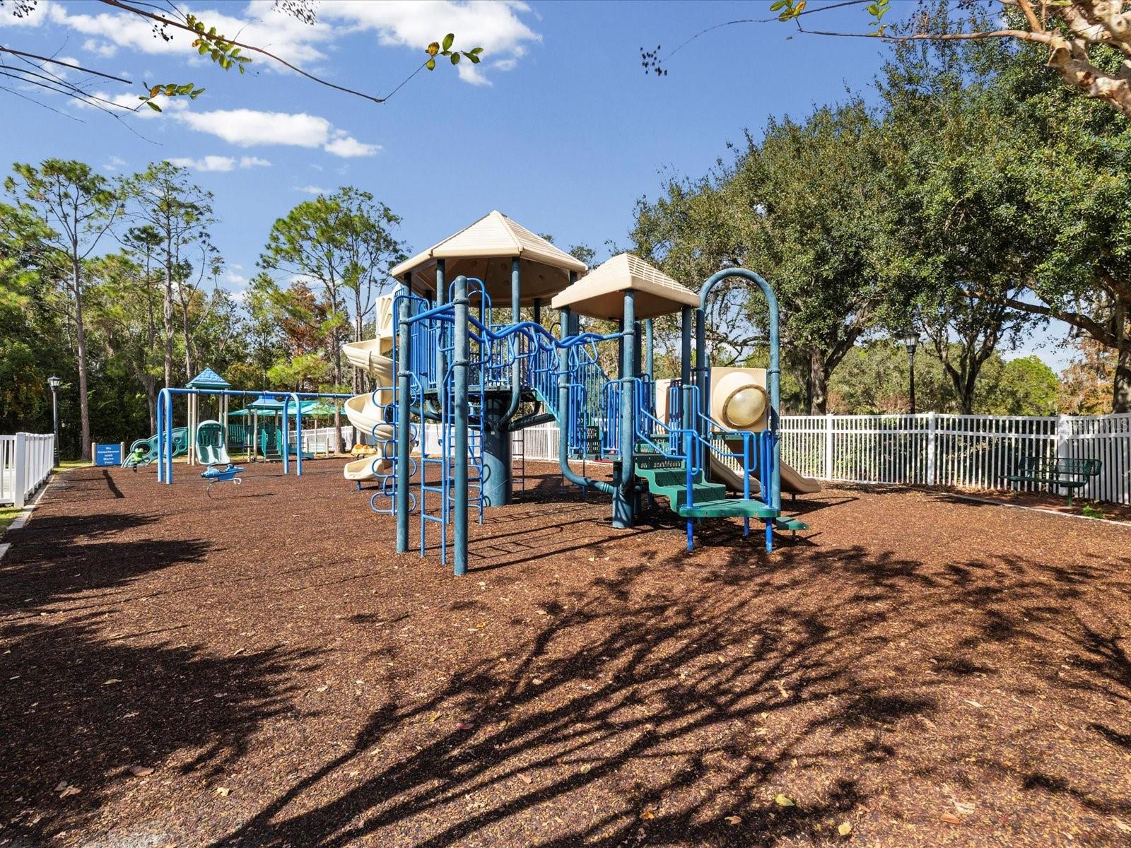 Image 79 of 100 For 26249 Sword Dancer Drive