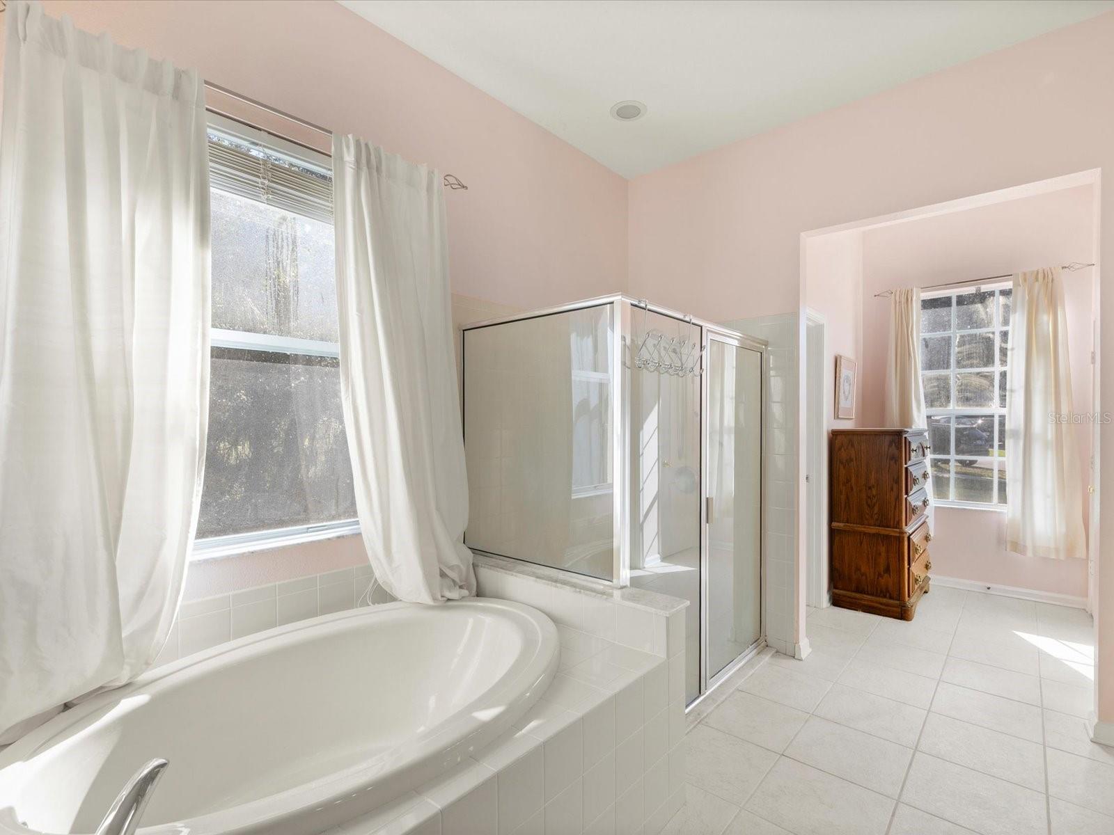 Image 9 of 100 For 26249 Sword Dancer Drive