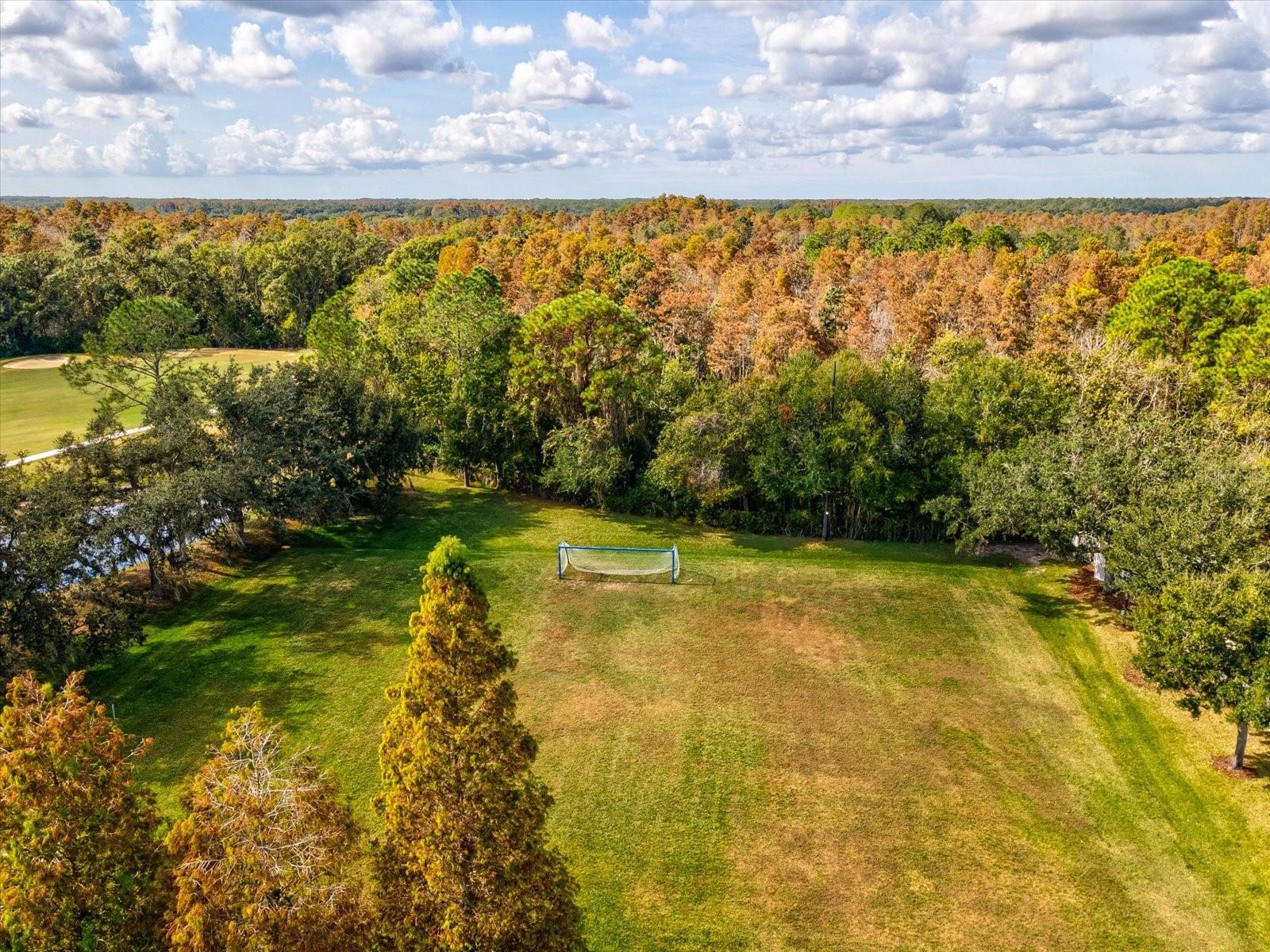 Image 97 of 100 For 26249 Sword Dancer Drive