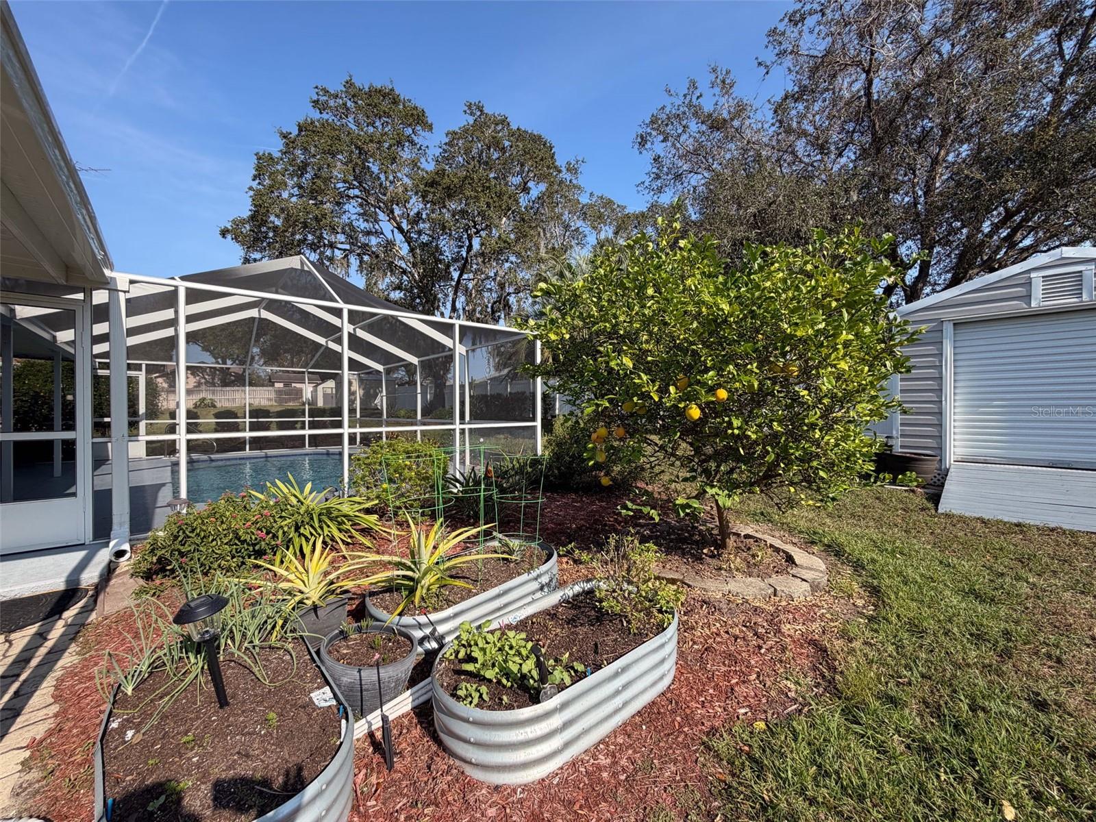 Listing photo id 32 for 2370 Bonkirk Avenue