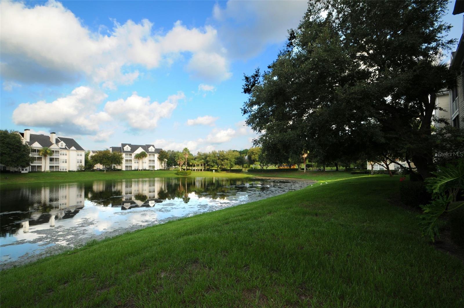 Image 49 of 50 For 3261 Haviland Court 203