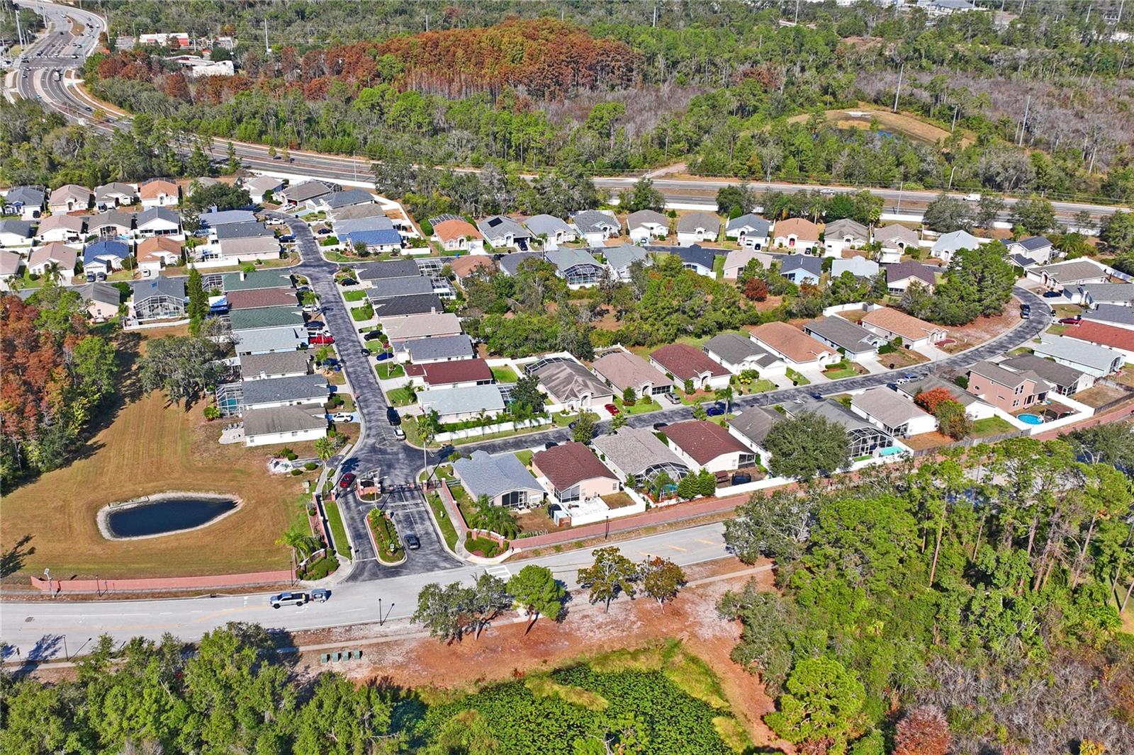 Image 34 of 44 For 7818 Fashion Loop