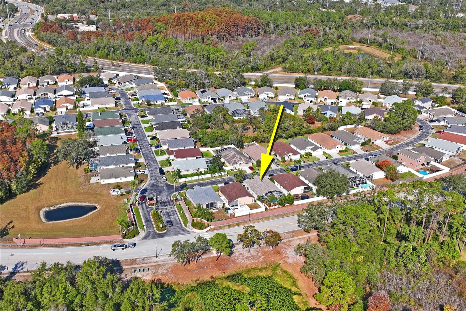 Image 35 of 44 For 7818 Fashion Loop