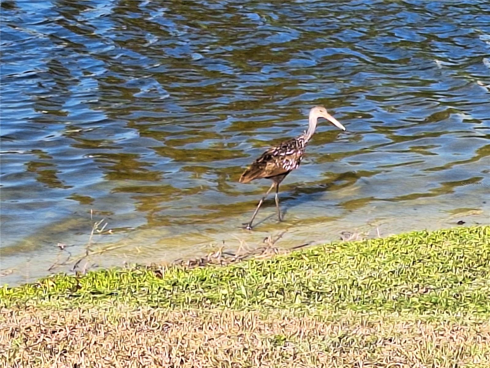 Image 85 of 88 For 10218 Barnett Loop