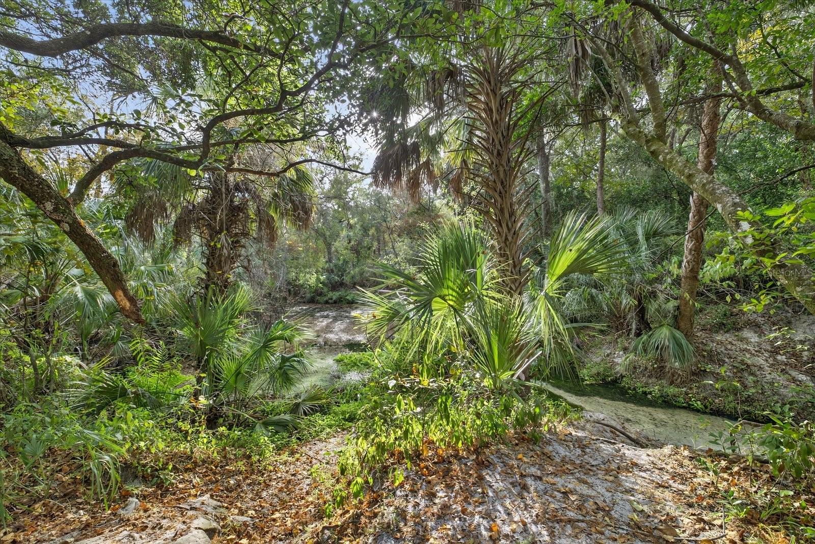 Image 59 of 59 For 6115 Apple Snail Avenue