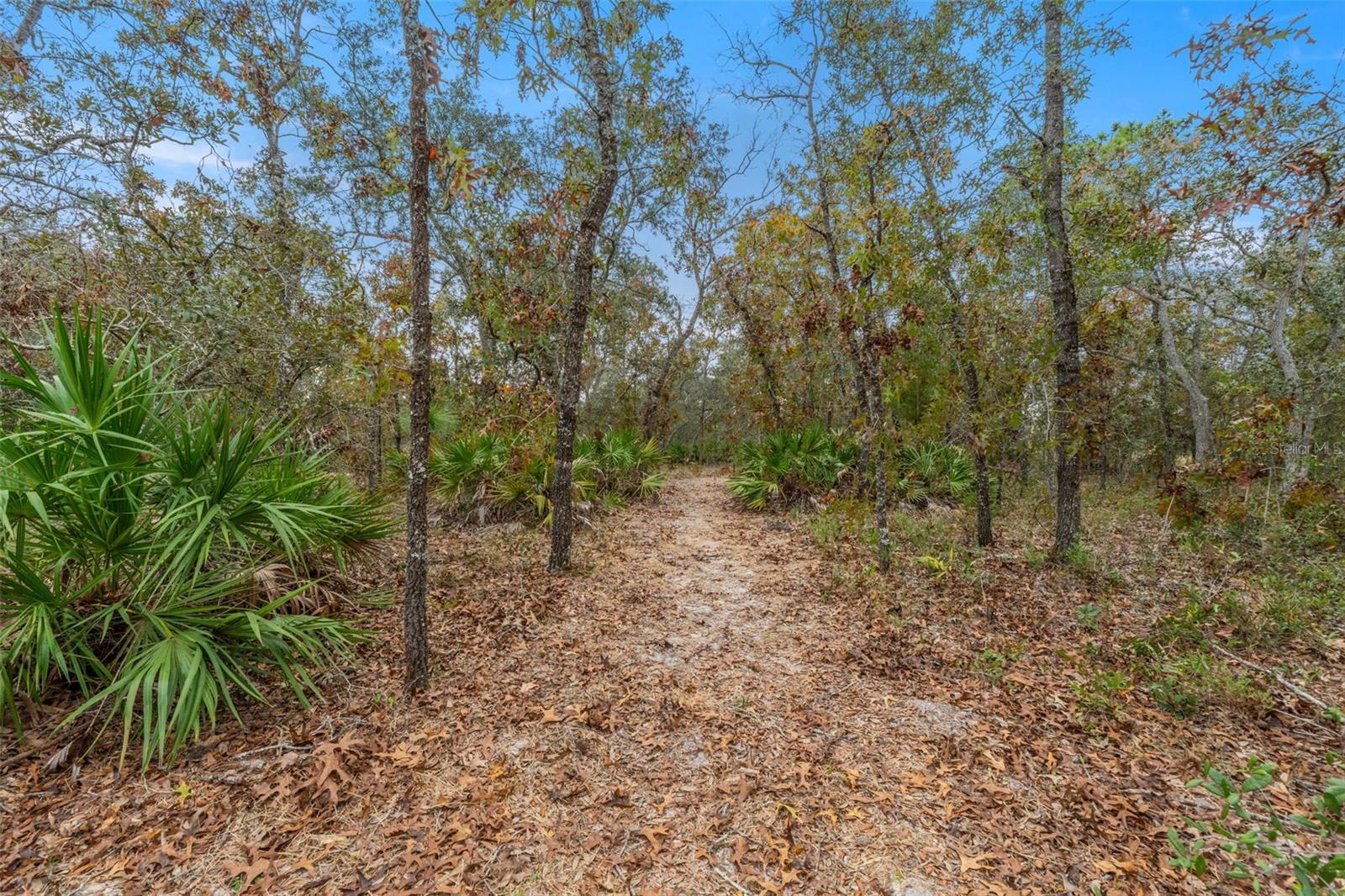 Image 44 of 49 For 14235 Hurricane Drive