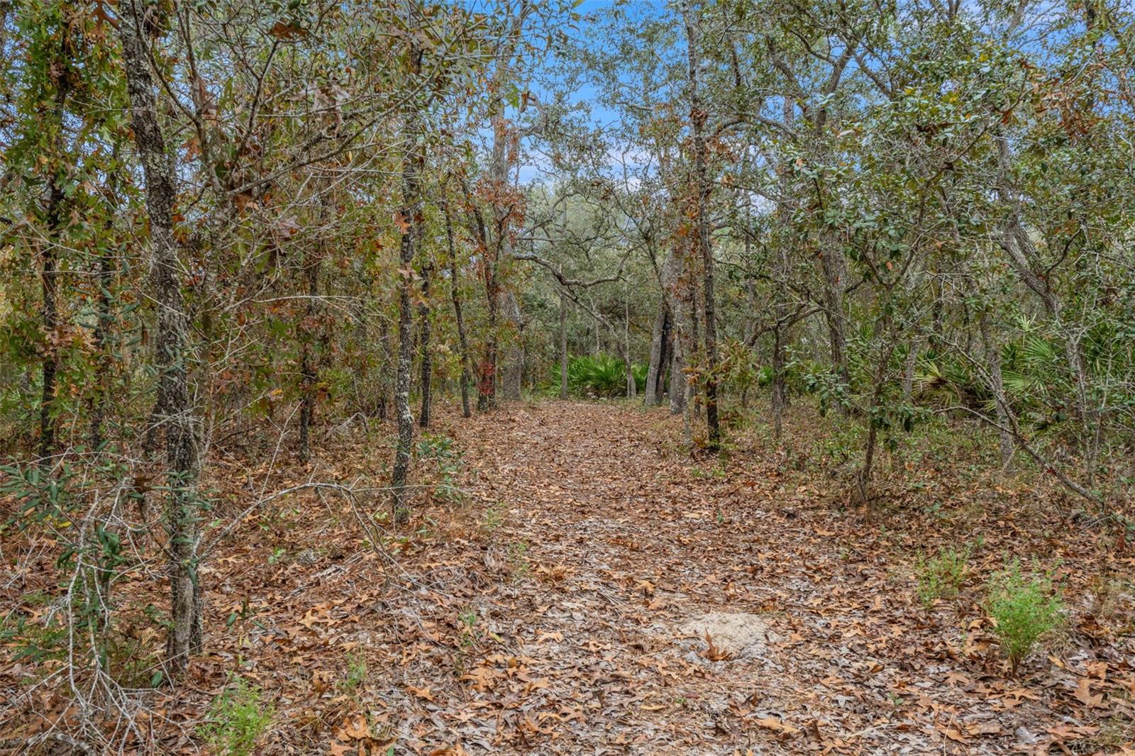 Image 45 of 49 For 14235 Hurricane Drive