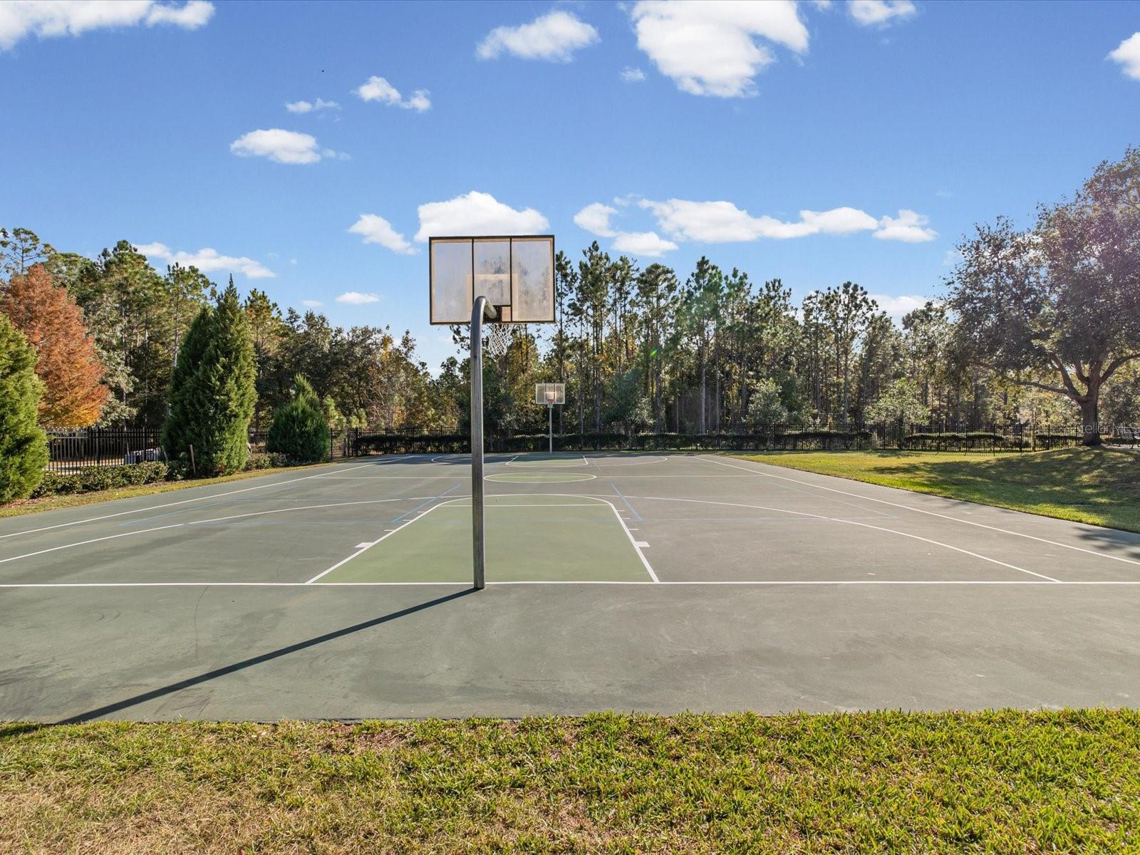 Image 68 of 72 For 34447 Windknob Court