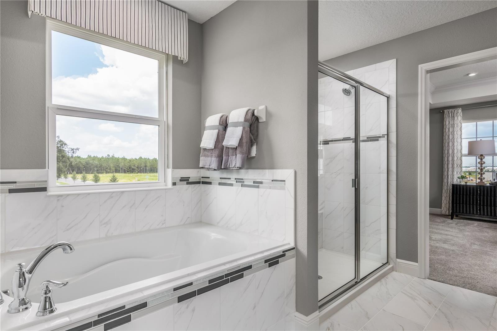 Image 14 of 21 For 3887 Cuyahoga Valley Court