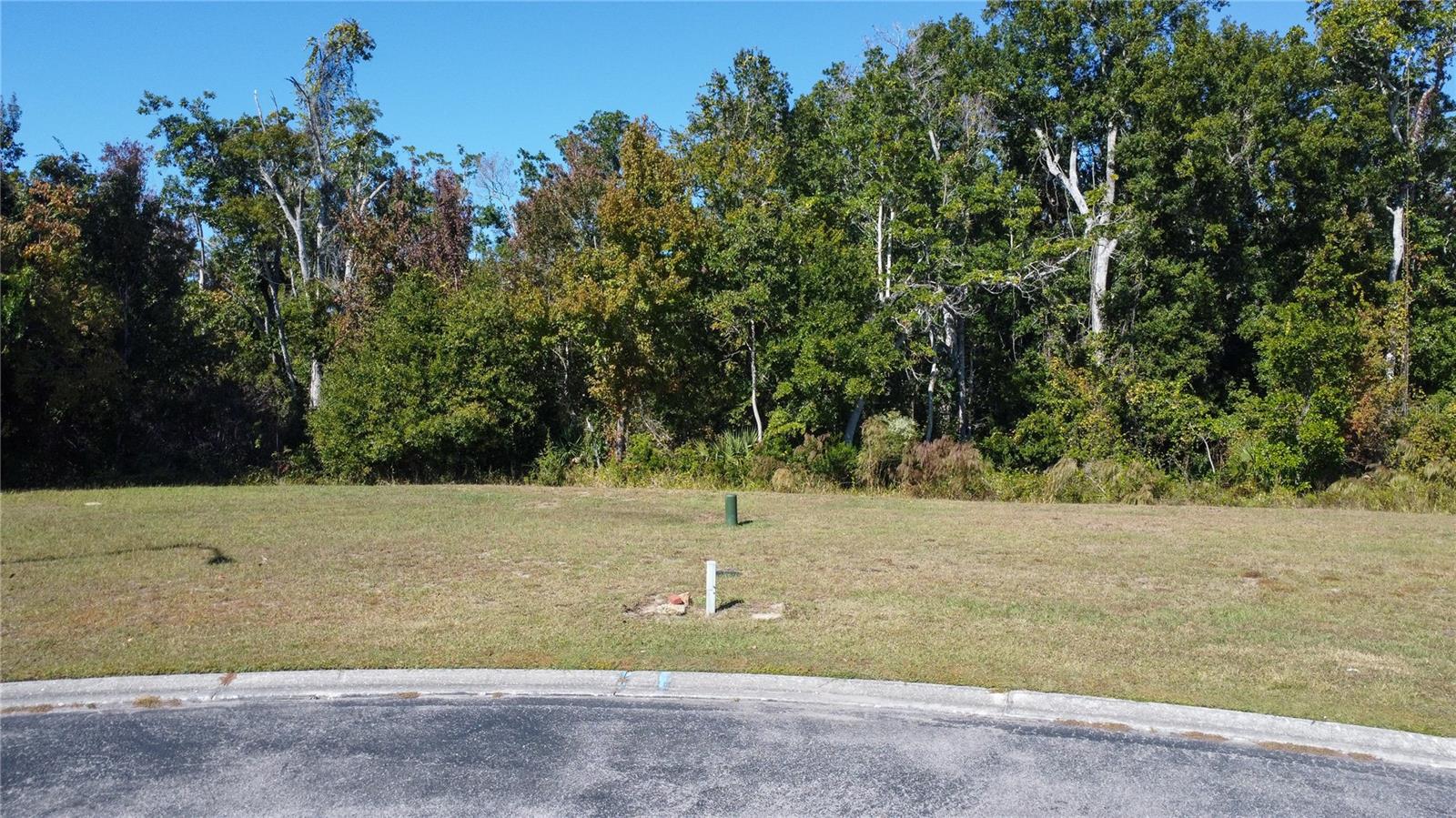 Image 2 of 31 For 0 Forest Glenn Drive