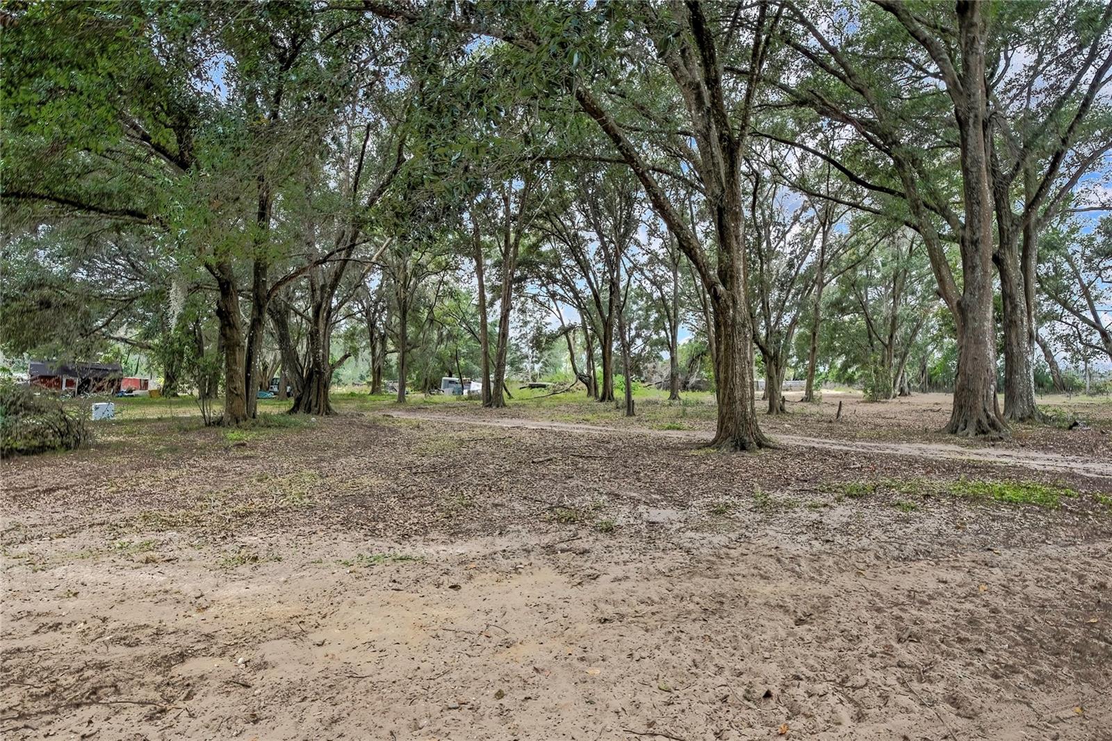 Image 29 of 37 For 28470 Soaring Hawk Lane