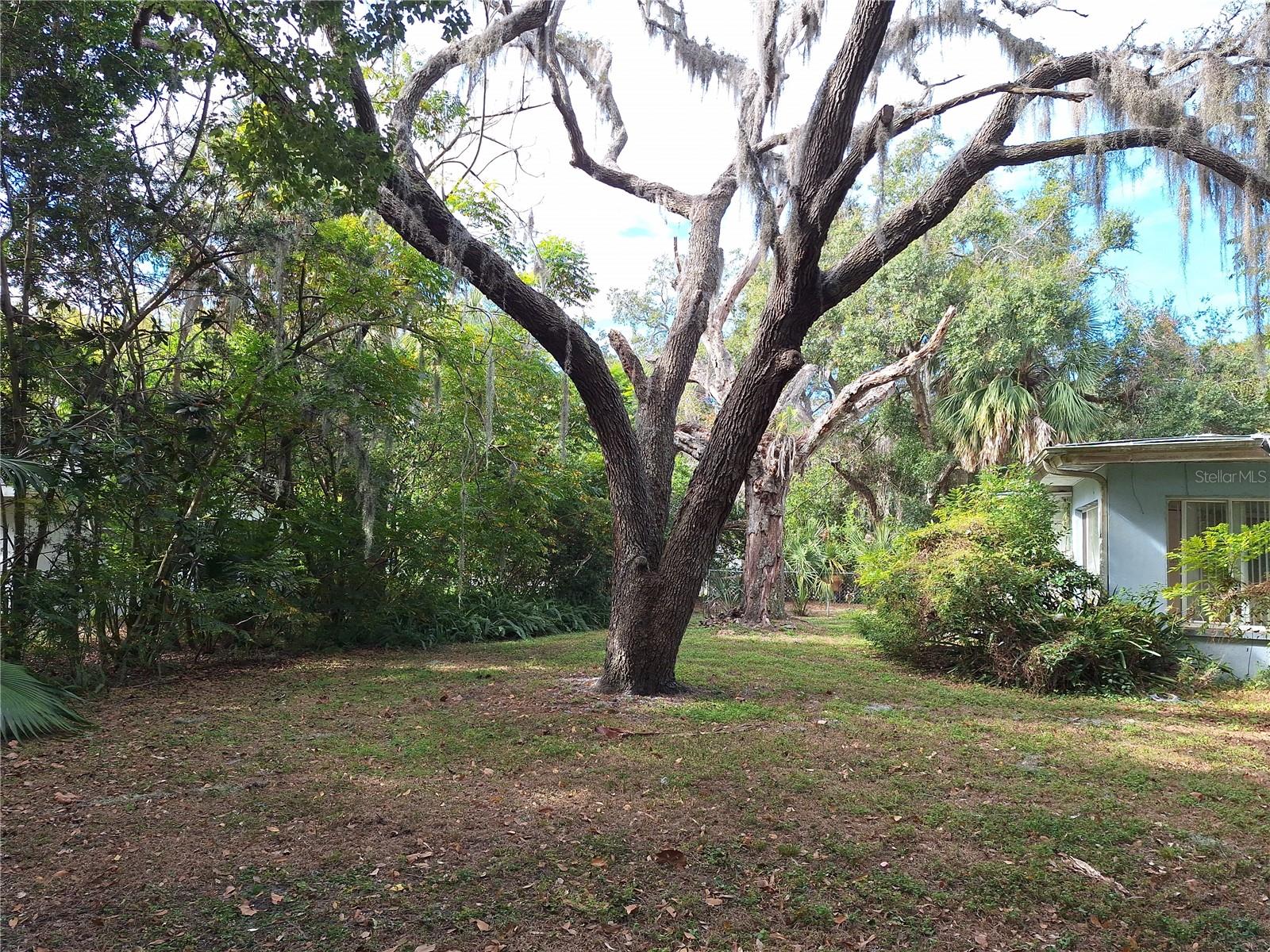 Image 53 of 69 For 5506 Carlton Road