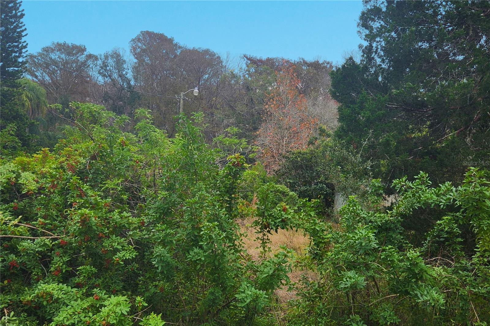 Image 2 of 8 For 10944 & 10948 Echo Loop