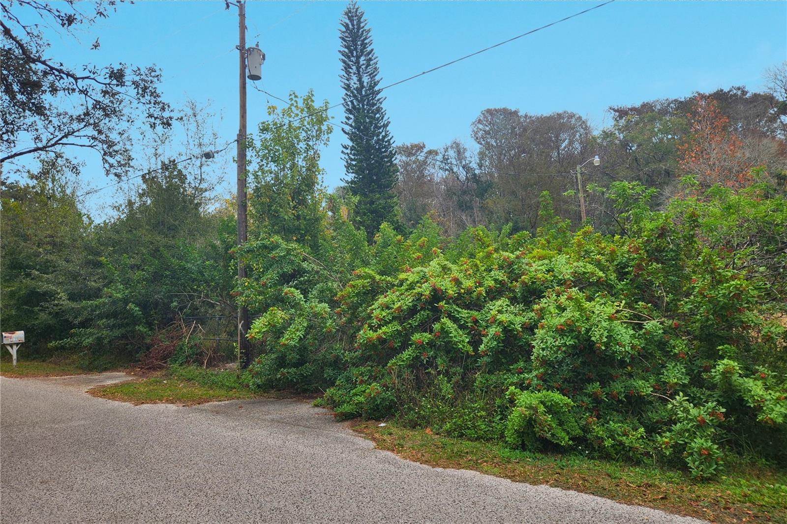 Image 4 of 8 For 10944 & 10948 Echo Loop