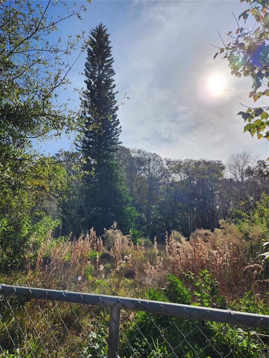 Image 7 of 8 For 10944 & 10948 Echo Loop