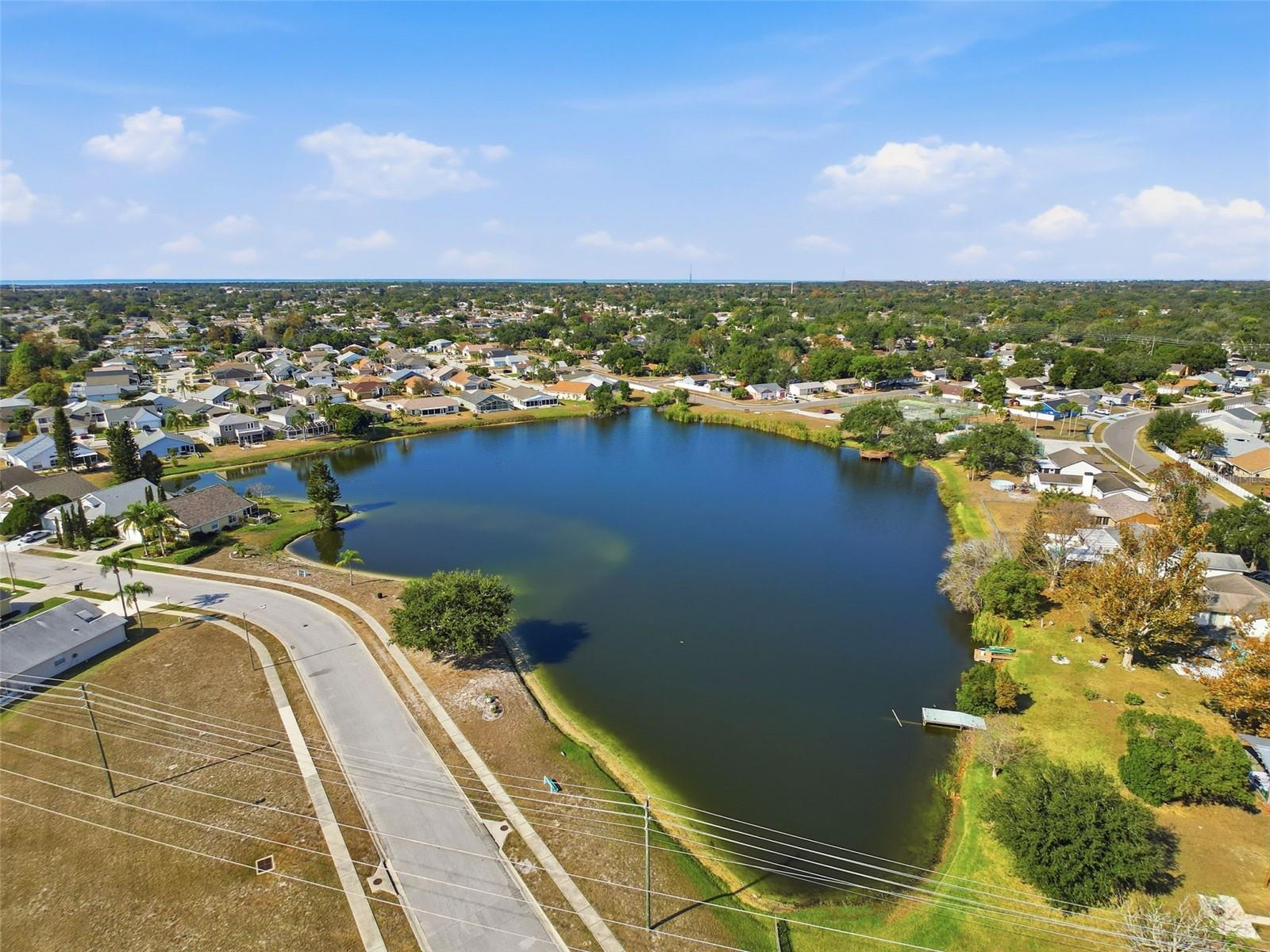 Image 39 of 41 For 10330 White Cedar St