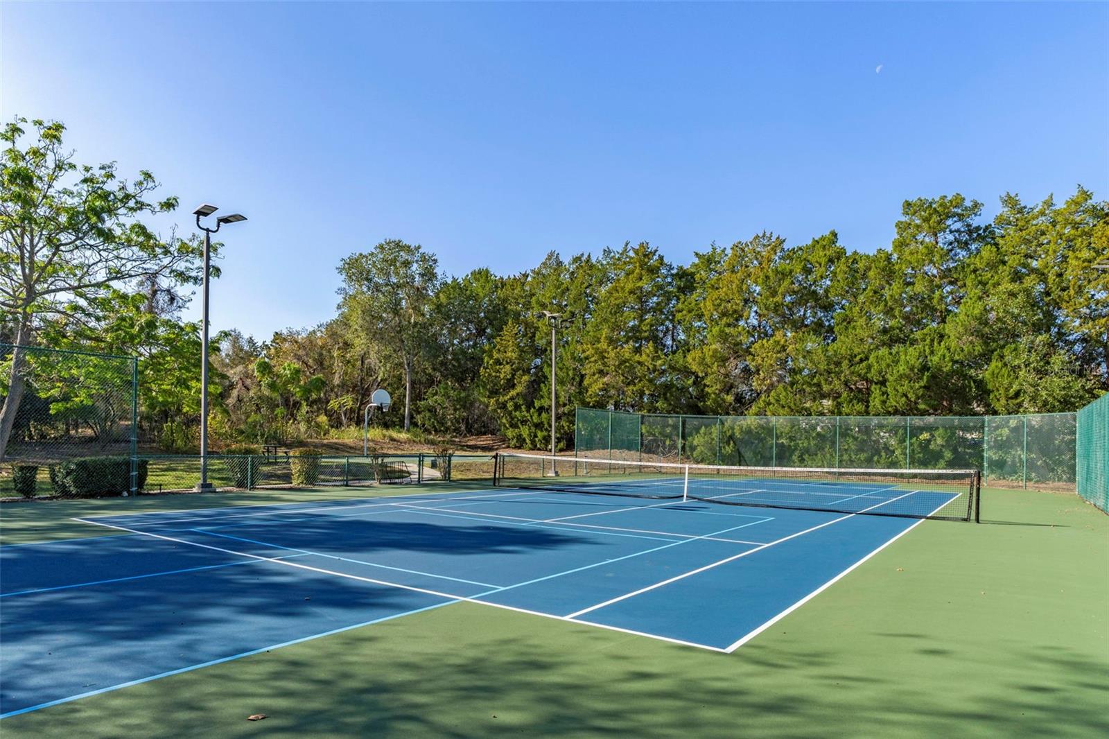 Image 91 of 100 For 7268 Crystal Spring Run