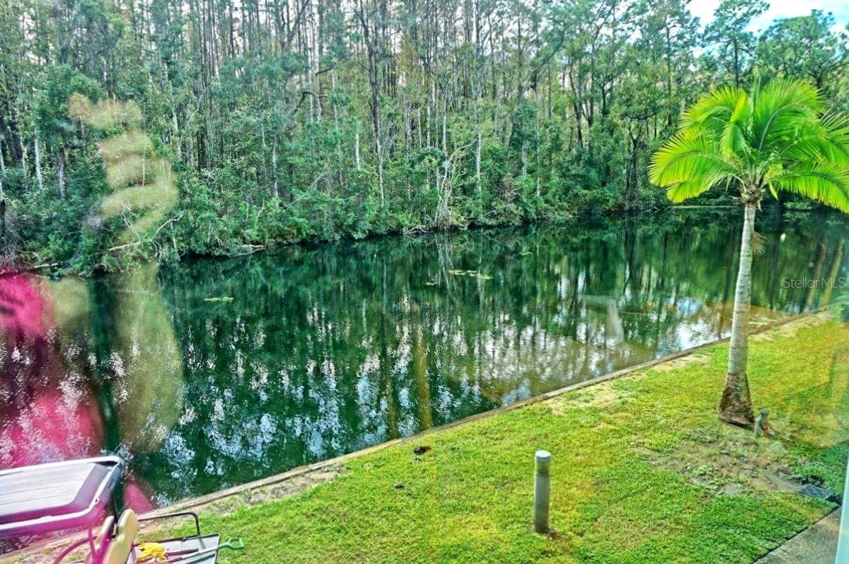 Image 32 of 35 For 1859 Mazo Manor U6