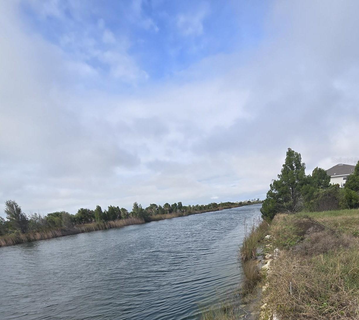 Image 6 of 8 For Lugustrum Drive