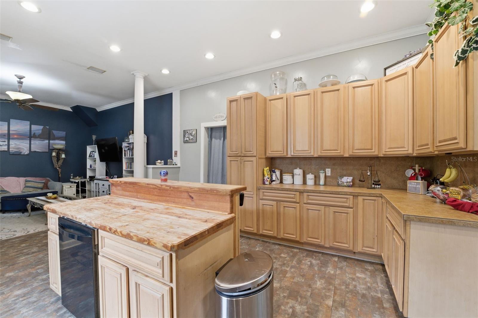 Image 64 of 71 For 117 Brooksville Avenue