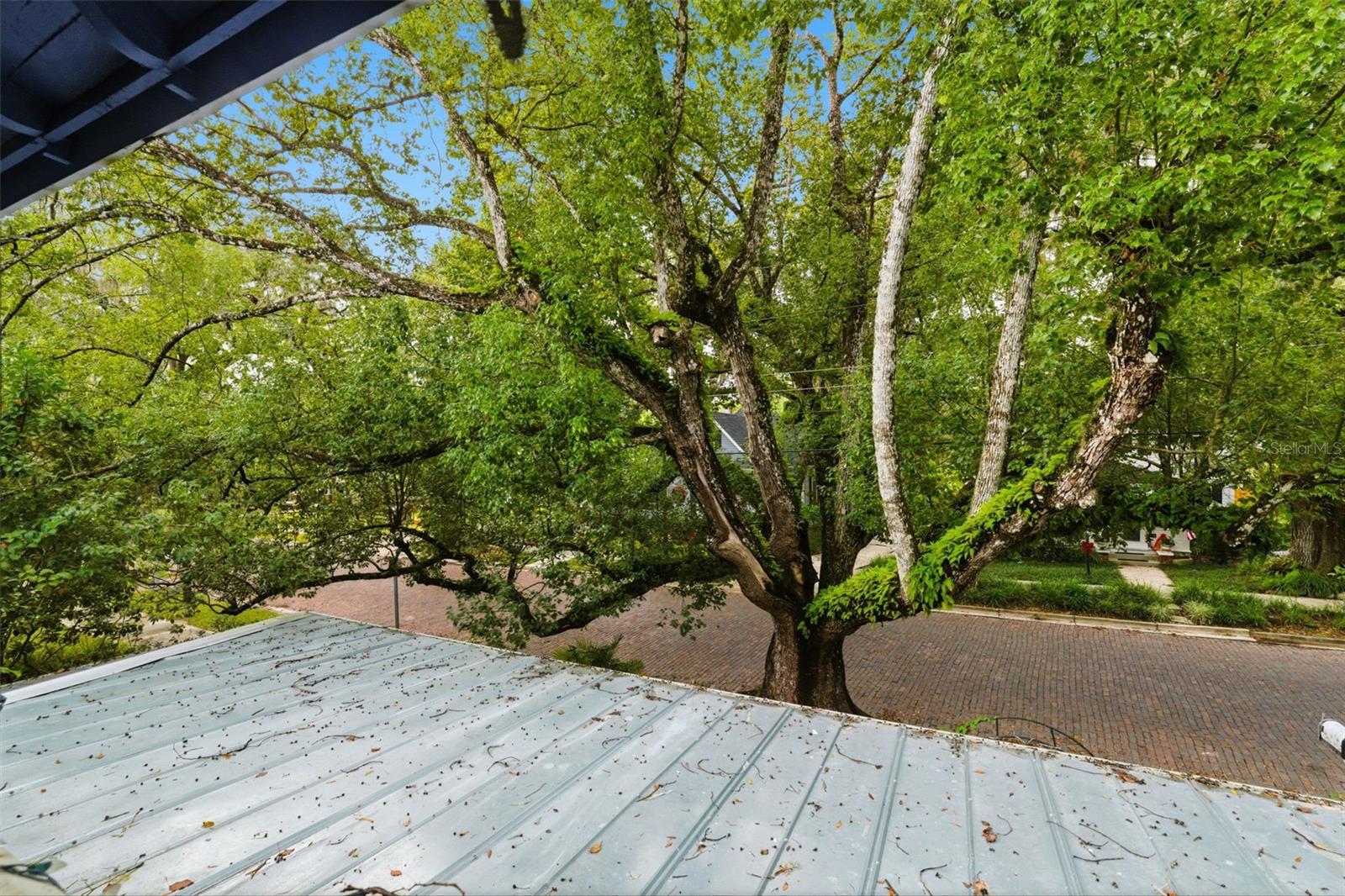 Image 71 of 71 For 117 Brooksville Avenue