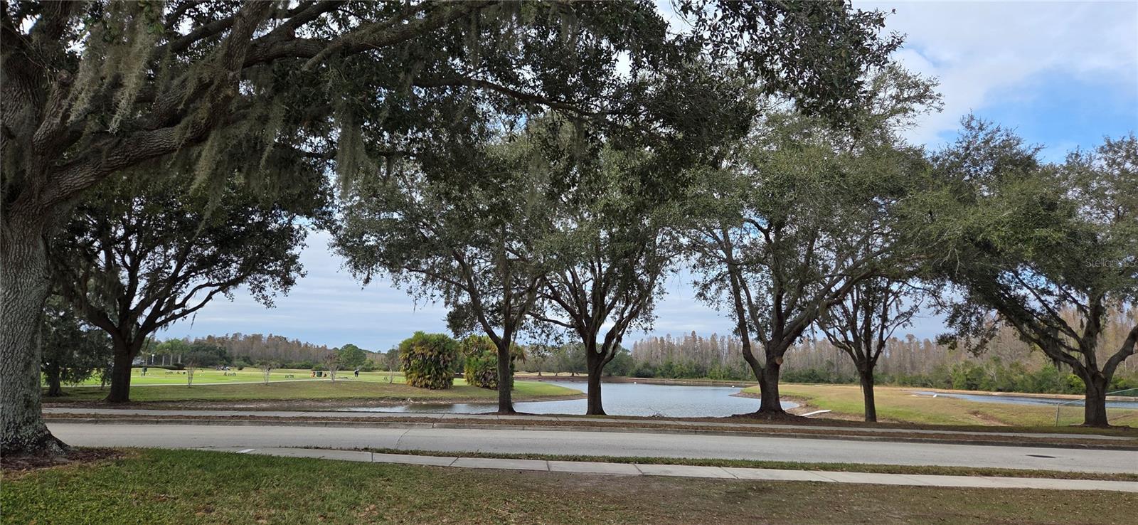 Image 9 of 51 For 4217 Fishermans Lake Drive