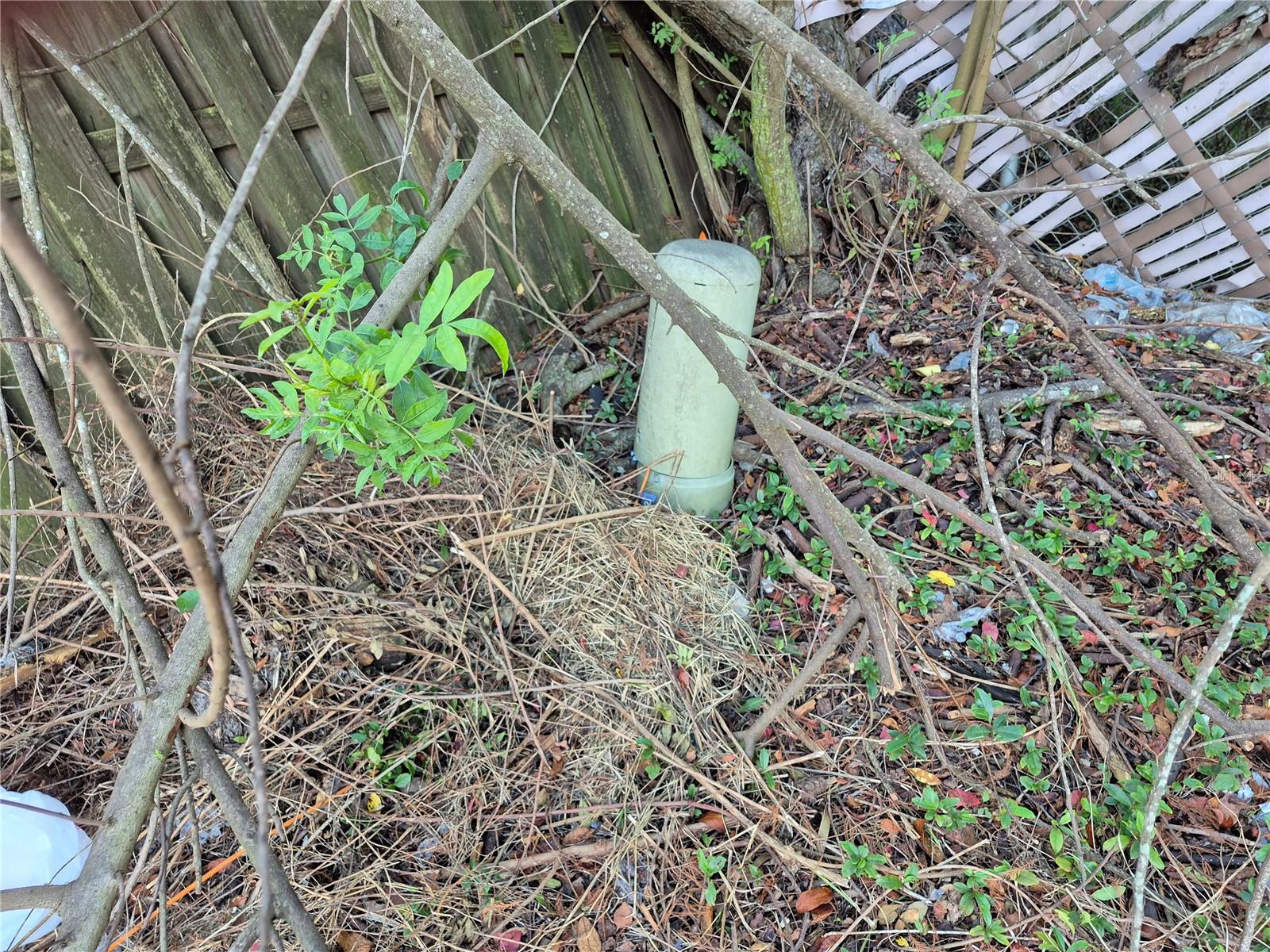 Image 6 of 8 For 7116 Dipaola Drive