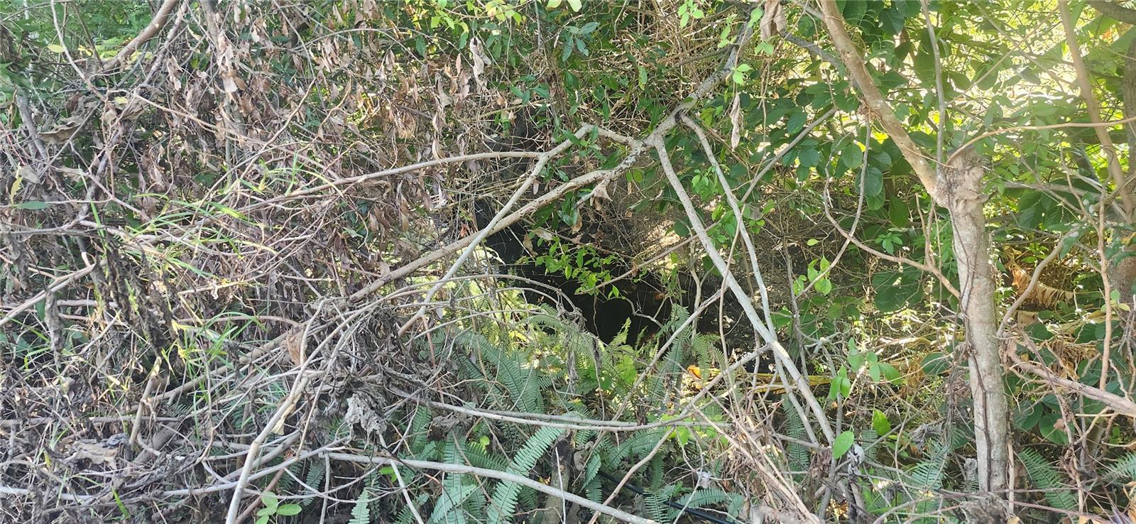 Image 40 of 41 For 1365 Overlea Street