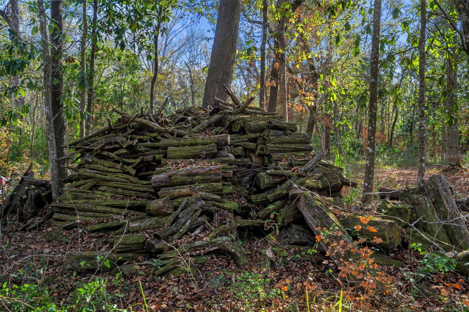 Listing photo id 25 for 13388 Glory Lane