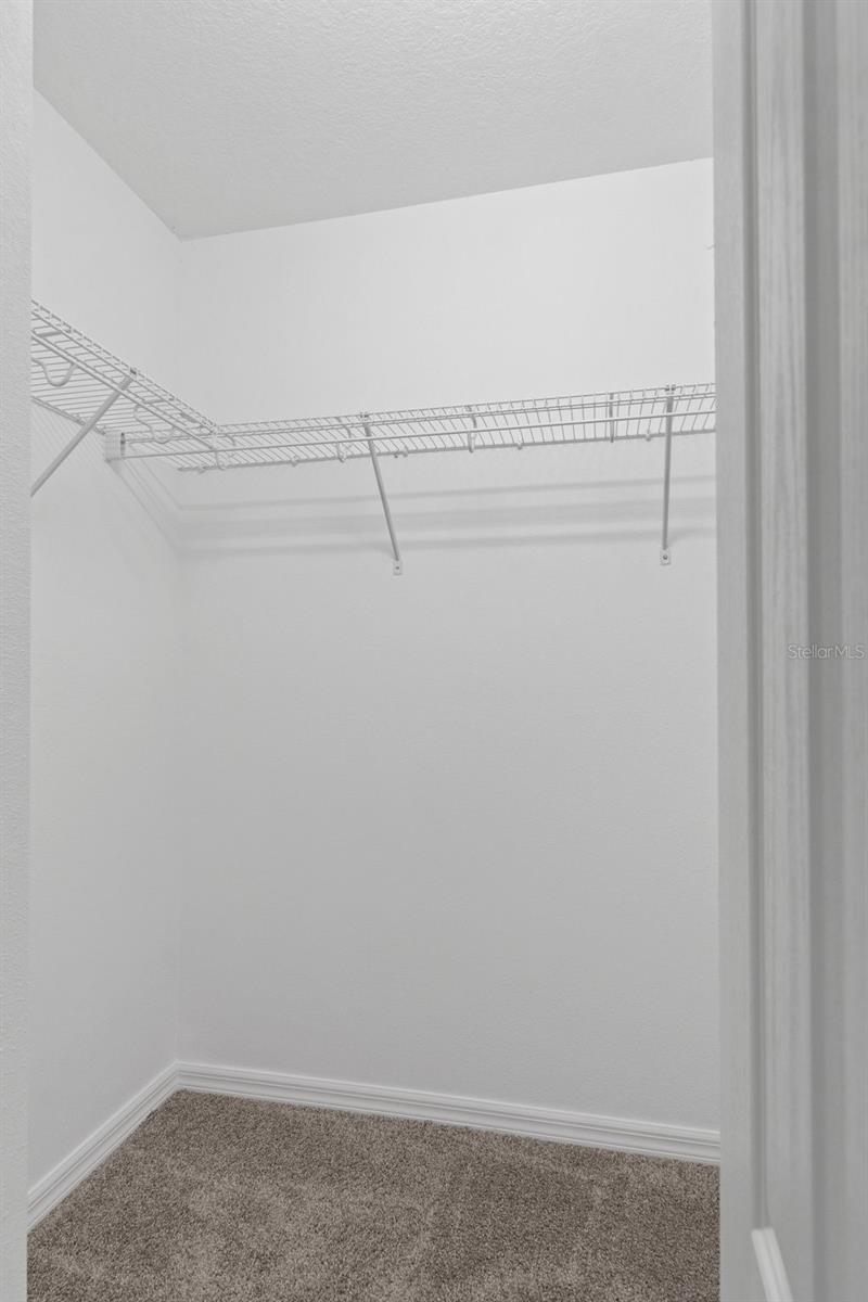 Image 22 of 36 For 79 Daisy Street